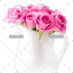 demo-attachment-163-beautiful-pink-roses-bouquet-in-vase-PBDGSKJ-2-e1585210795340