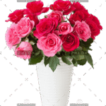 demo-attachment-149-beautiful-red-rose-flowers-bouquet-in-vase-over-PQMN932-e1585206413921
