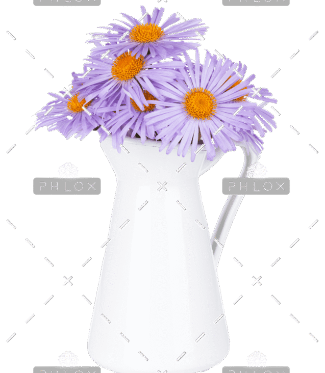 demo-attachment-146-blue-camomile-flowers-in-jug-P6Z6KCB