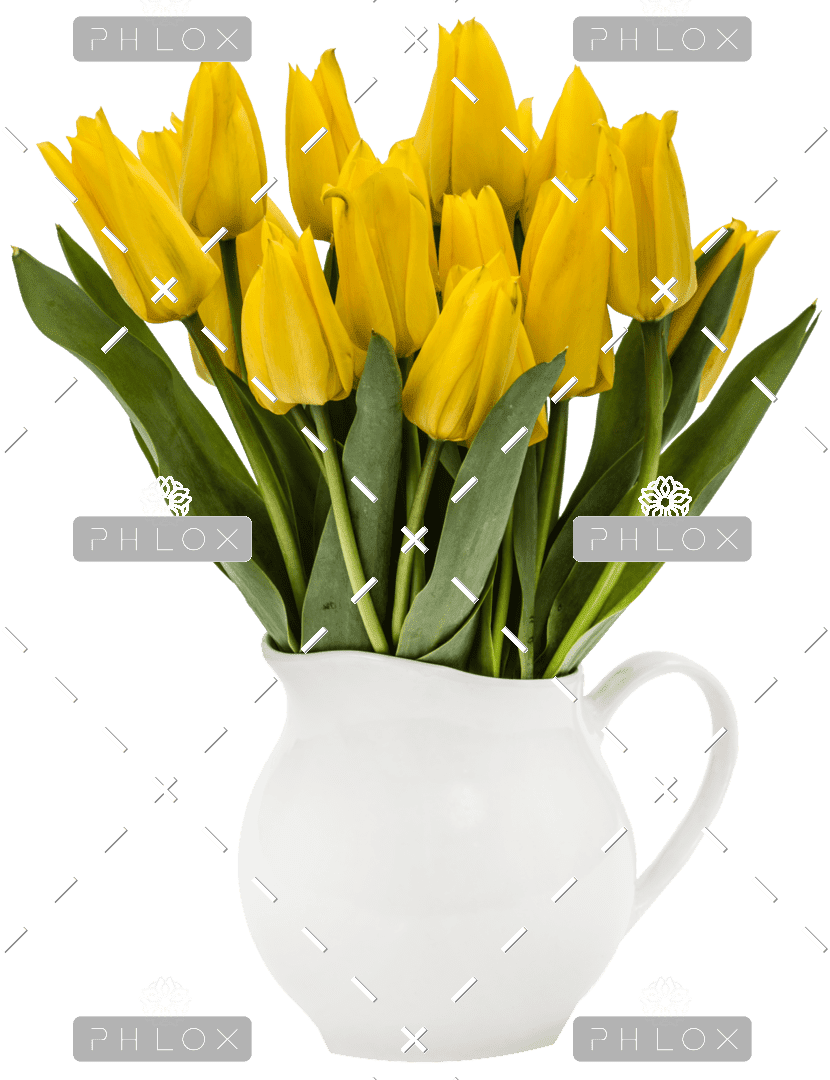 demo-attachment-47-bouquet-from-yellow-tulips-in-vase-isolated-on-P5NAMRT-copy