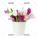 demo-attachment-167-colorful-tulips-bouquet-NFESY4P-copy-1