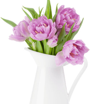 demo-attachment-74-pink-tulips-bouquet-D5TCQEK1-1-1
