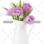 demo-attachment-187-pink-tulips-bouquet-D5TCQEK1-1