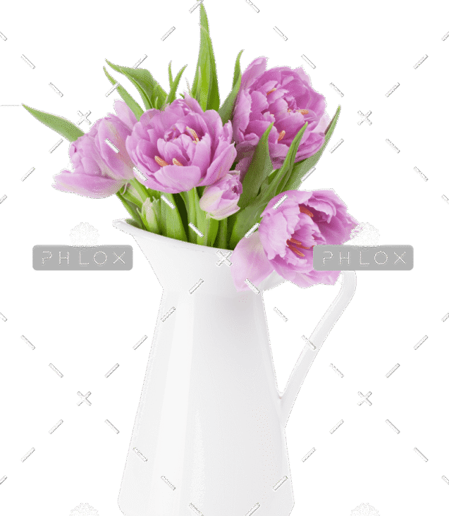 demo-attachment-187-pink-tulips-bouquet-D5TCQEK1-1
