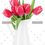 demo-attachment-99-red-tulip-flowers-bouquet-P85CFN2-e1585207182450
